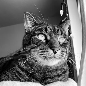 Meet your Posher, Natalia